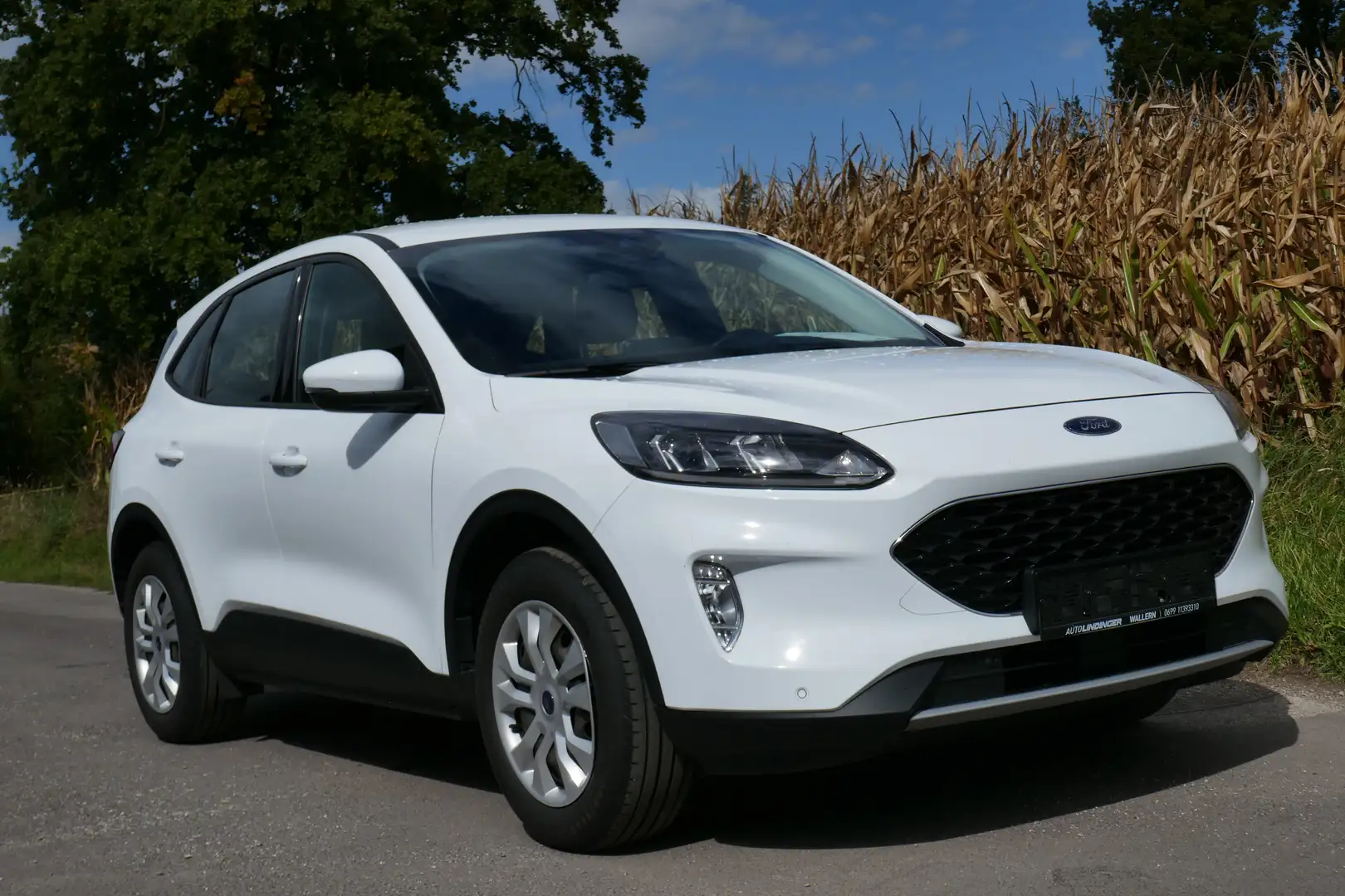 Ford Kuga Hybrid Cool&Connect Weiß - 1