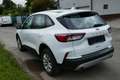 Ford Kuga Hybrid Cool&Connect Weiß - thumbnail 6