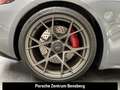 Porsche Cayman 718 Cayman GT4 RS Grau - thumbnail 33