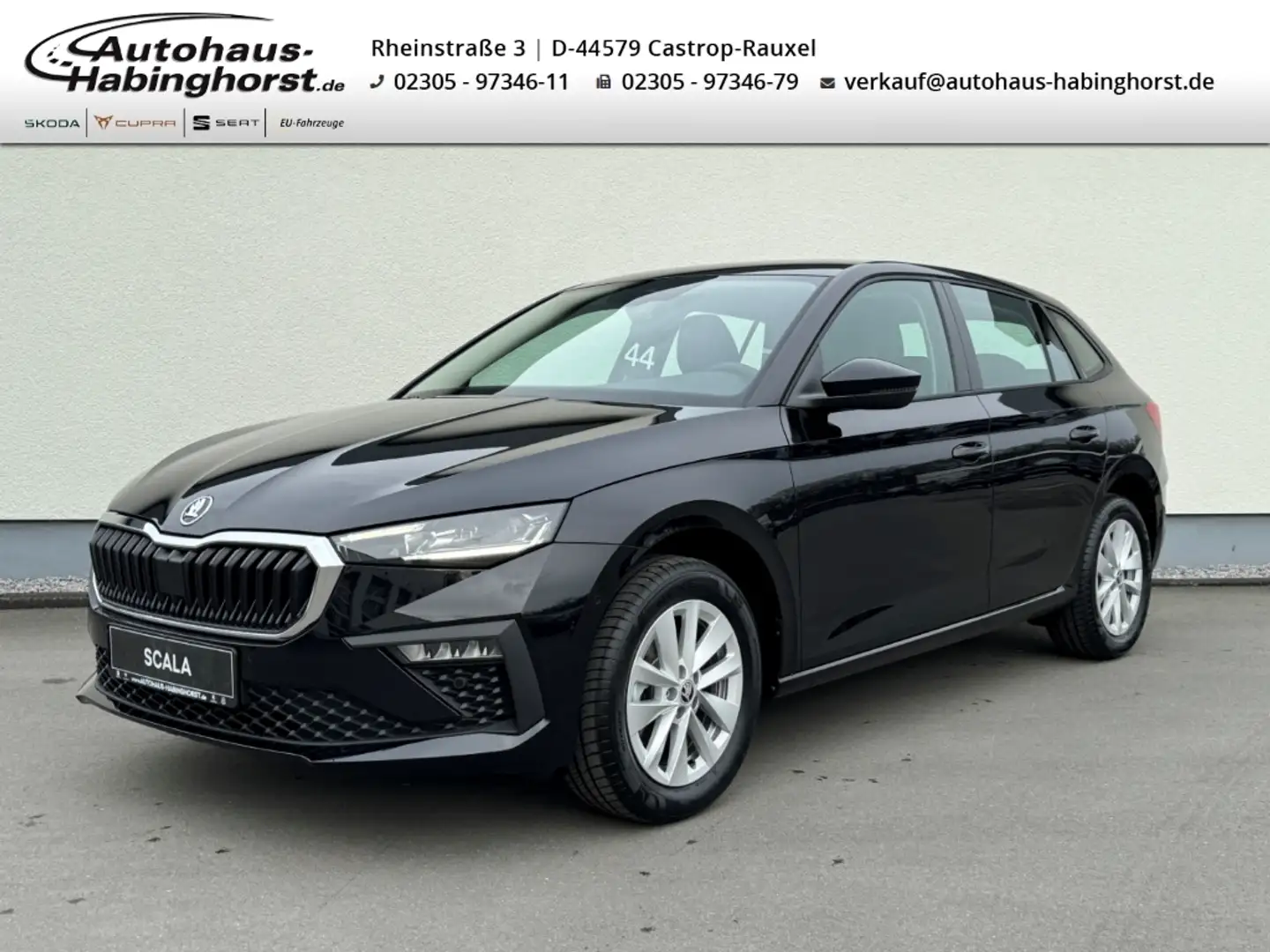 Skoda Scala 1.0 TSI DSG Selection Navi ACC e.Hk Matrix PDC Alu Schwarz - 1