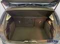 Ford Focus 1.0 EcoBoost Hybrid 125 CV 5p. Business Grigio - thumbnail 14
