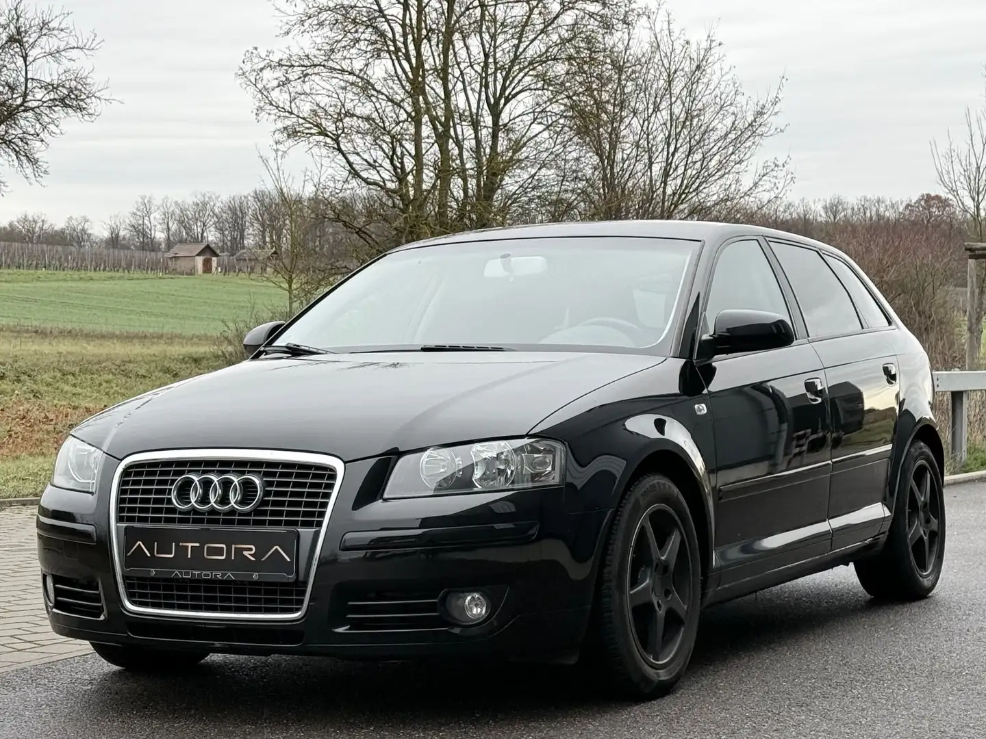 Audi A3 Sportback 1.9 TDI Ambition 1.HAND|STANDHEIZNG Black - 2