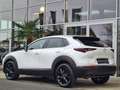Mazda CX-30 2.5 G140 6AT Homura Rückfahrkamera Bílá - thumbnail 4
