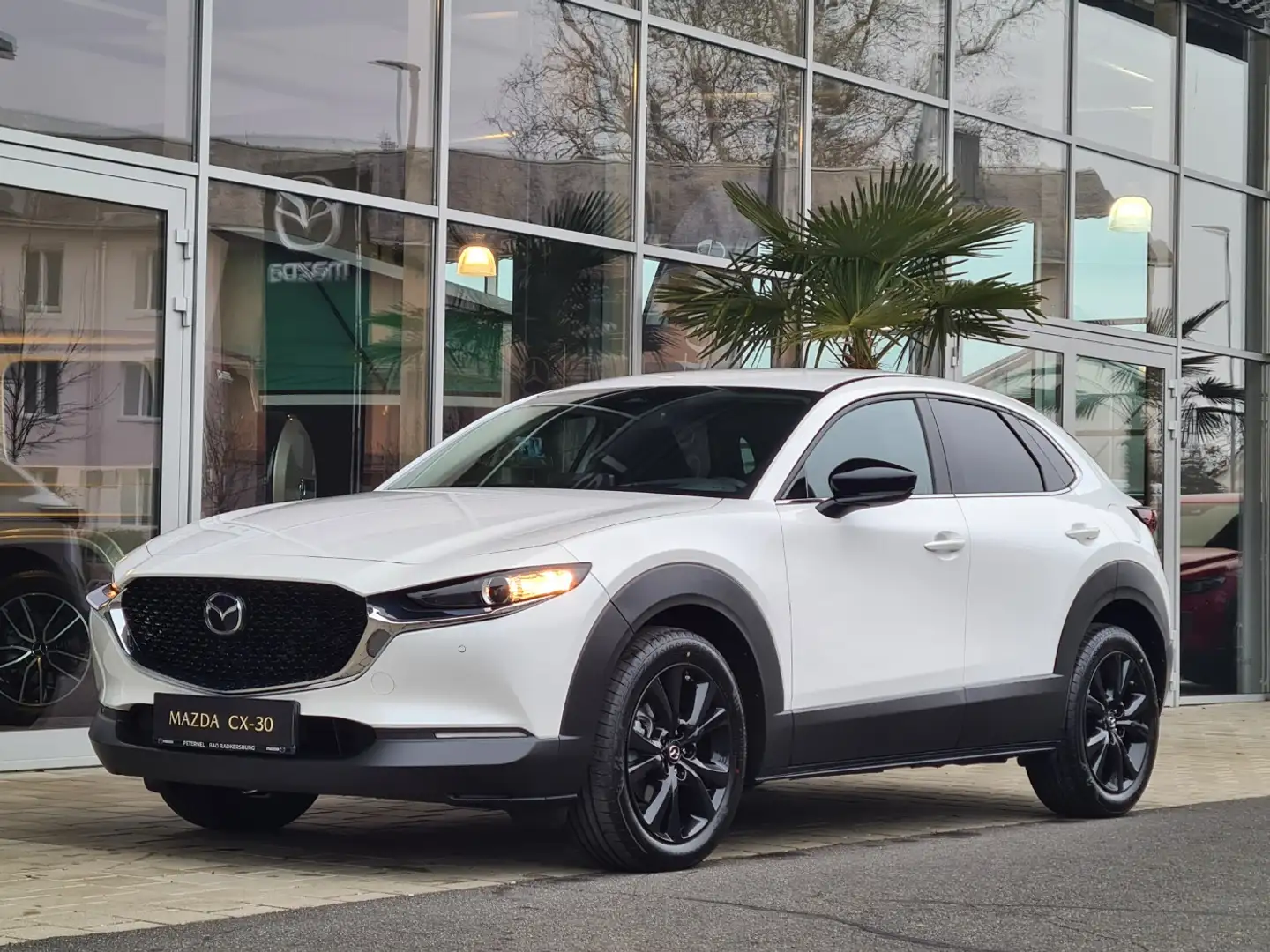 Mazda CX-30 2.5 G140 6AT Homura Rückfahrkamera Bílá - 2