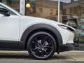 Mazda CX-30 2.5 G140 6AT Homura Rückfahrkamera Bílá - thumbnail 11