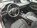 Mazda CX-30 2.5 G140 6AT Homura Rückfahrkamera Bílá - thumbnail 13
