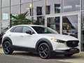 Mazda CX-30 2.5 G140 6AT Homura Rückfahrkamera Bílá - thumbnail 9