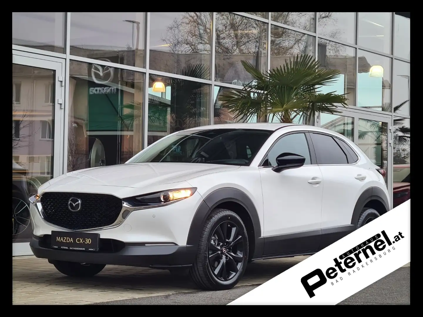 Mazda CX-30 2.5 G140 6AT Homura Rückfahrkamera Білий - 1