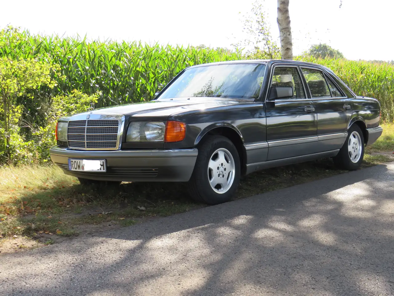 Mercedes-Benz S 500 500 SE, foto 1