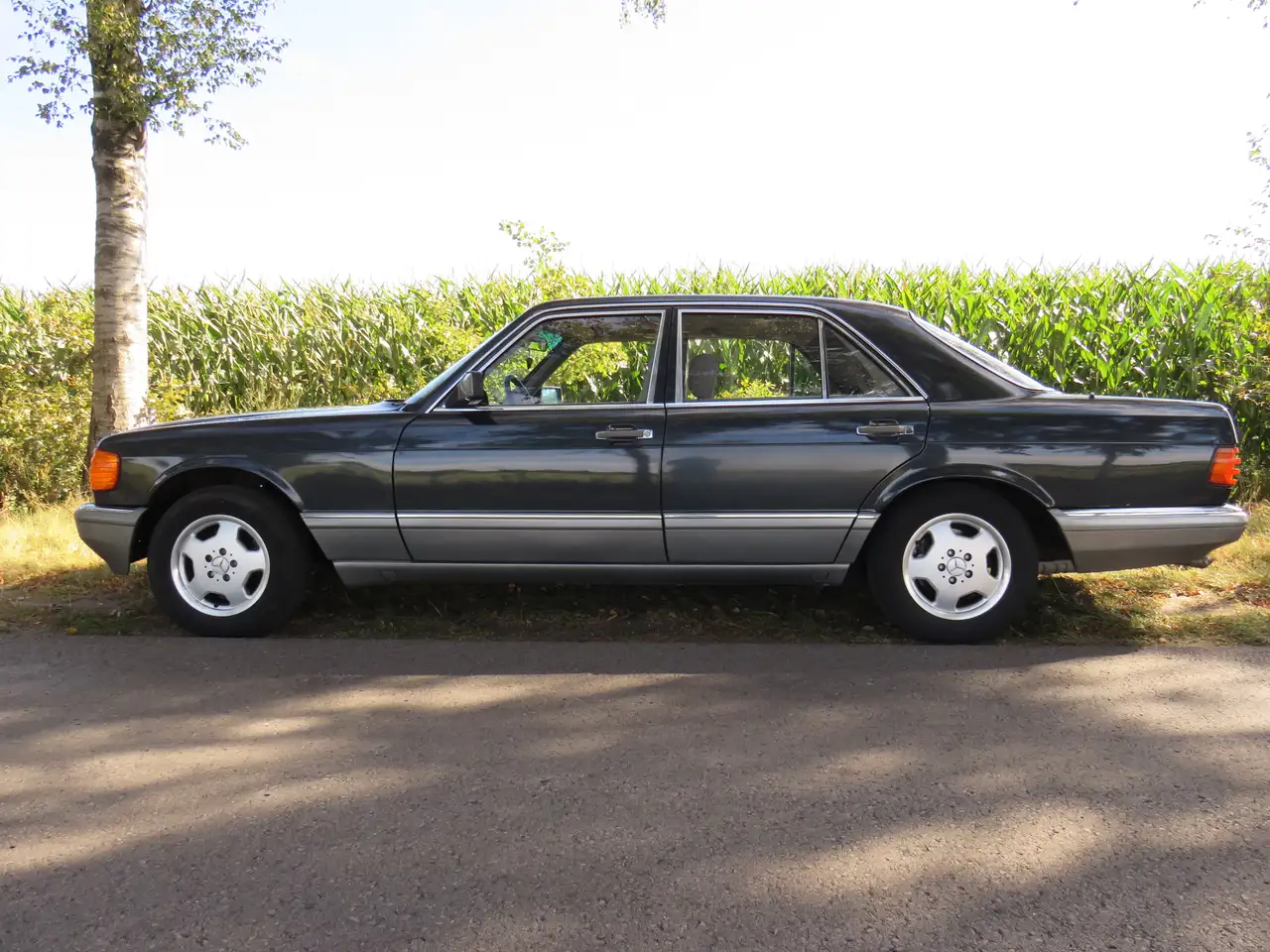 Mercedes-Benz S 500 500 SE, foto 2