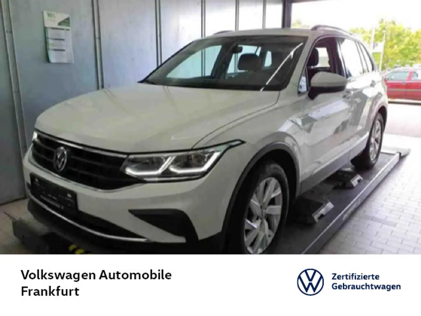 Volkswagen Tiguan 2.0 TSI DSG 4Motion Life Navi LEDMatrix D Weiß - 1