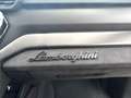 Lamborghini Urus PRONTA CONSEGNA Urus S 4.0 V8 auto Nero - thumbnail 23