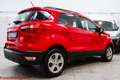 Ford EcoSport 1.0 ecoboost Plus 100cv Rouge - thumbnail 2