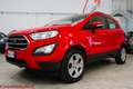 Ford EcoSport 1.0 ecoboost Plus 100cv Rouge - thumbnail 1