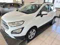 Ford EcoSport 1.0 EcoBoost 100 CV Business Wit - thumbnail 2