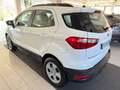 Ford EcoSport 1.0 EcoBoost 100 CV Business Wit - thumbnail 5
