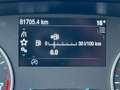 Ford EcoSport 1.0 EcoBoost 100 CV Business Wit - thumbnail 12