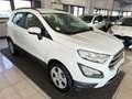 Ford EcoSport 1.0 EcoBoost 100 CV Business Wit - thumbnail 1