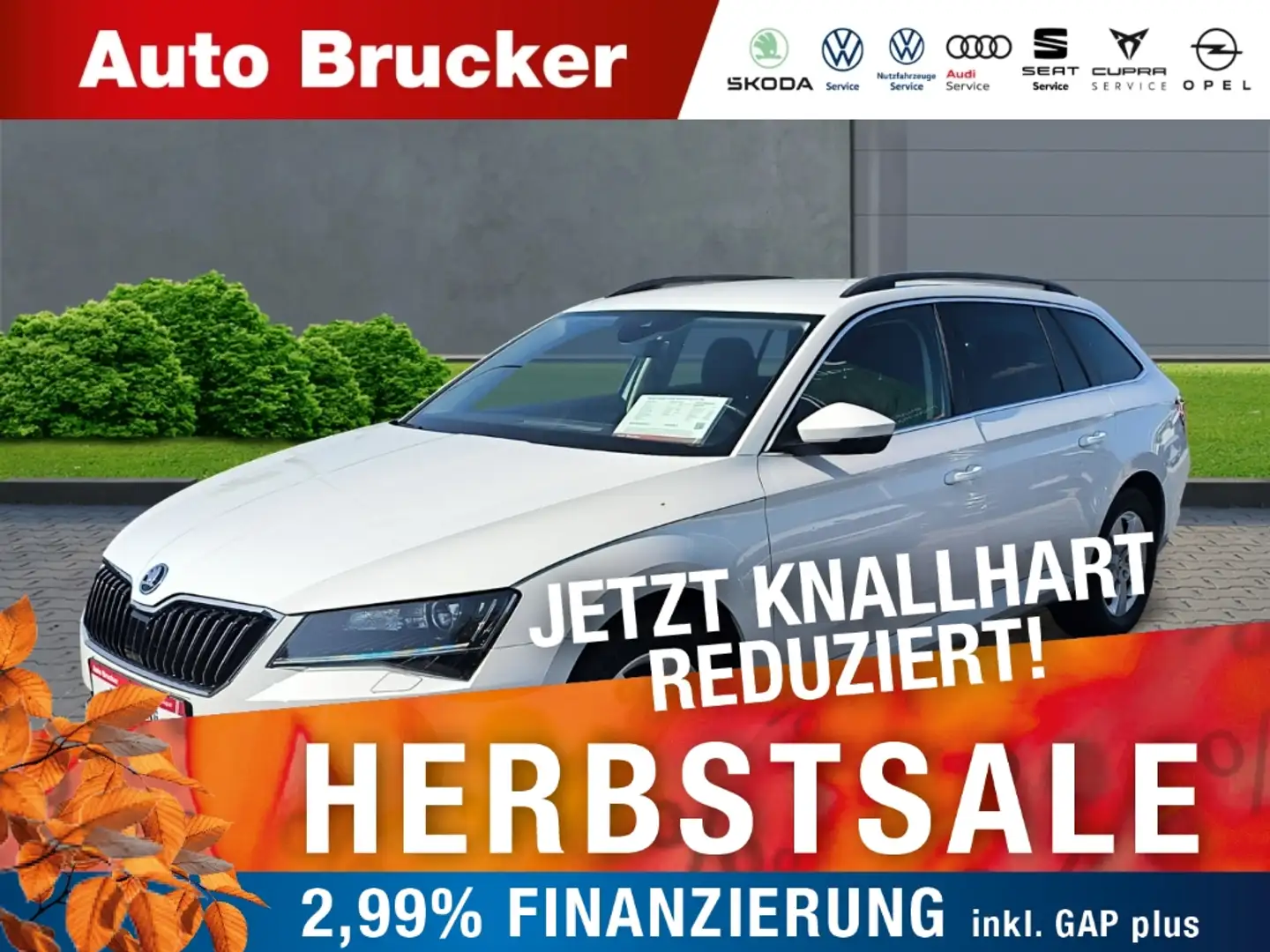 Skoda Superb Combi Ambition 4x4 2.0 TDI+Navi+Alufelgen+Xenon+FS Weiß - 1