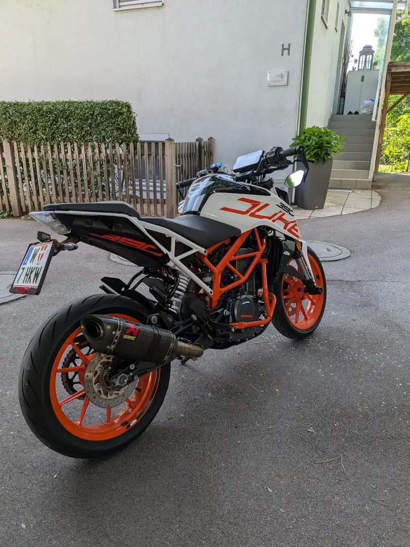 KTM 390 Duke FRISCHES PICKERL Weiß - 2