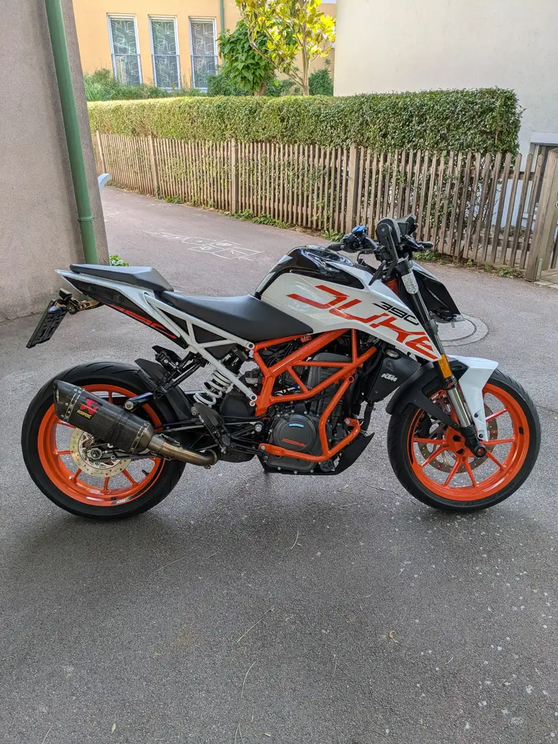 KTM 390 Duke FRISCHES PICKERL Weiß - 1