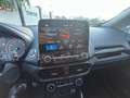 Ford EcoSport 1.5 ecoblue Titanium s&s 100cv my19 Gris - thumbnail 7