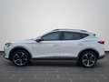 CUPRA Formentor 1.5 TSI SHZ FullLink Navi RFK PDC Voll Weiß - thumbnail 7