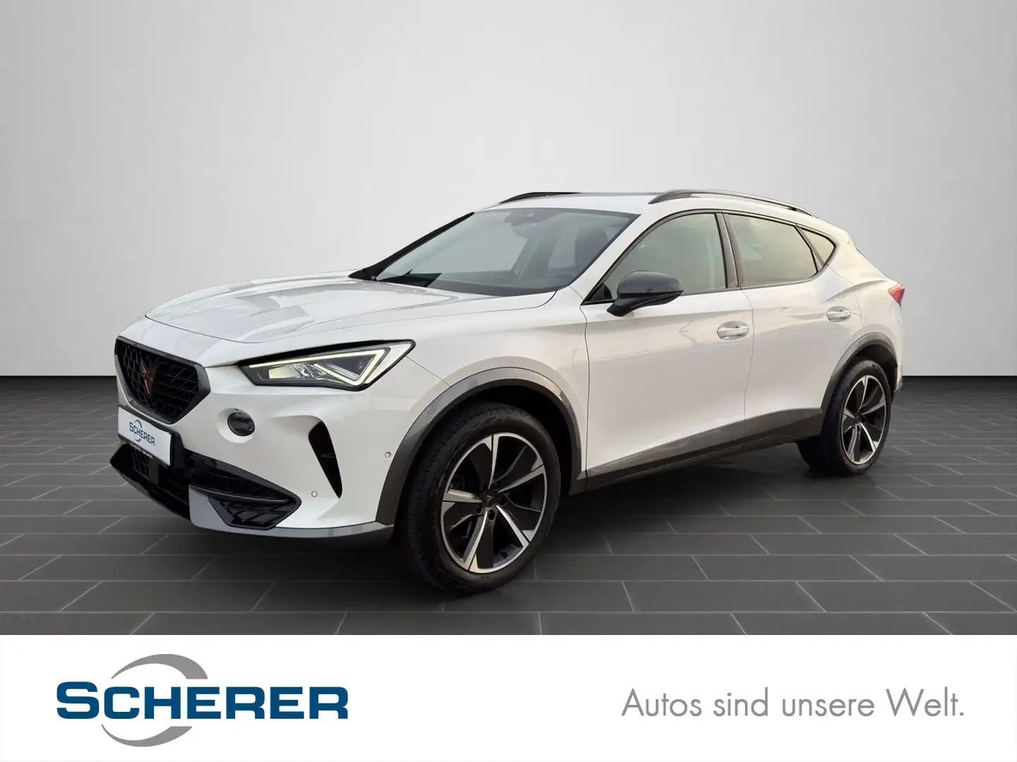 CUPRA Formentor 1.5 TSI SHZ FullLink Navi RFK PDC Voll Weiß - 1
