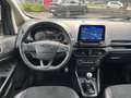Ford EcoSport 1.0 ecoboost ST-line 100cv my19 Grau - thumbnail 8