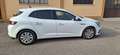 Renault Megane Megane IV 2020 Berlina 1.5 blue dci Business 115cv Bianco - thumbnail 4