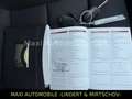 Audi Q3 2.0 TDI quattro-2.HAND-NAV-XEN-AHK-KAMERA-20Z Negro - thumbnail 15