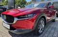 Mazda CX-30 2.0L e-SKYACTIV G 150ps 6AT FWD Exclusive-line DES Rot - thumbnail 1