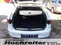SEAT Leon Style, 18 Zoll Alu-Allwetterreifen Weiß - thumbnail 14