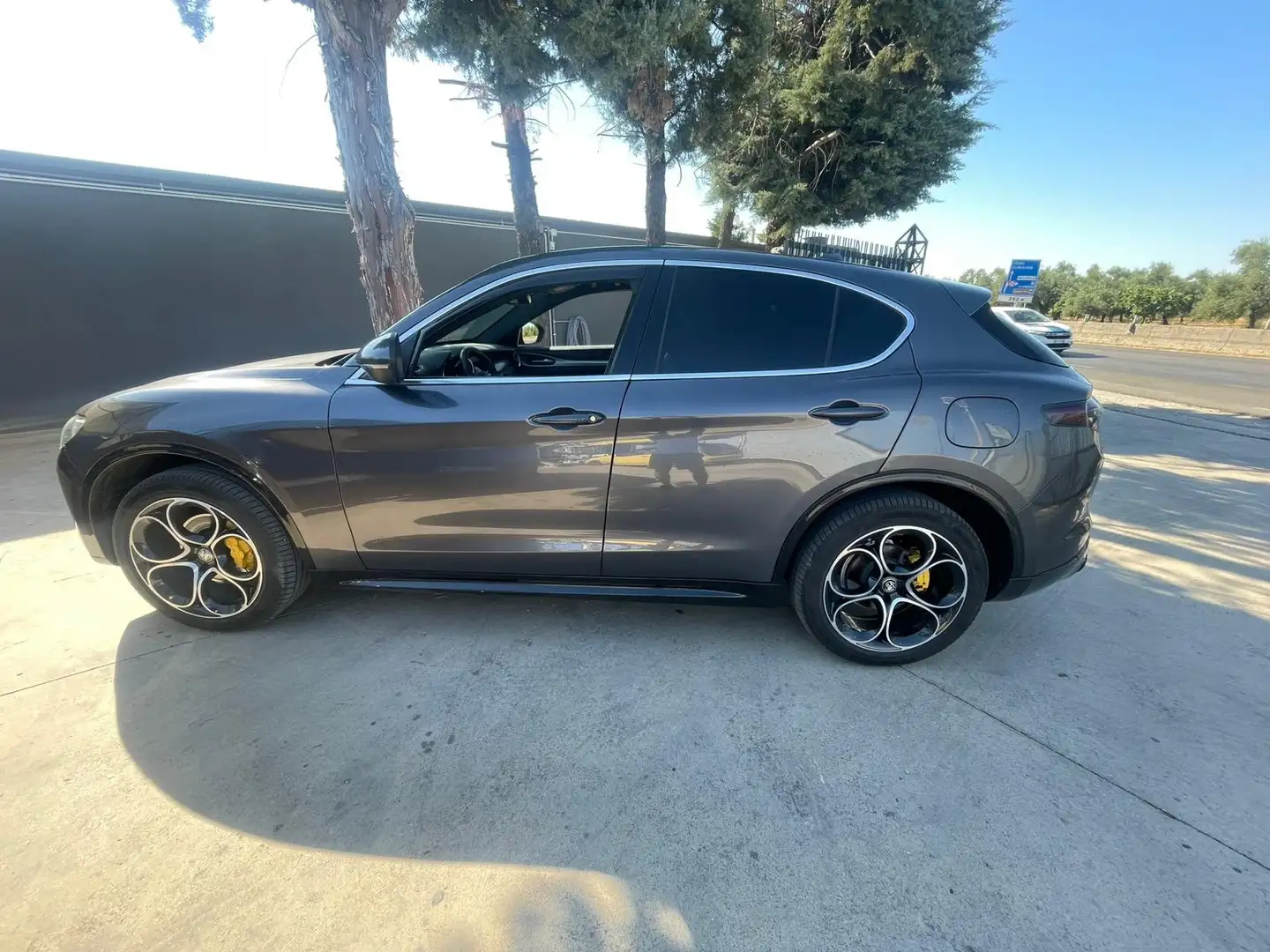 Alfa Romeo Stelvio Stelvio 2017 2.2 t Super Q4 210cv auto Grigio - 2