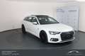 Audi A6 Avant 40 TDI quattro Sport*PANO*AHK*HUD*TOP! Weiß - thumbnail 3