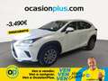 Lexus NX 300 300h Business 2WD Weiß - thumbnail 1