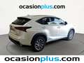 Lexus NX 300 300h Business 2WD Weiß - thumbnail 4