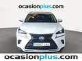 Lexus NX 300 300h Business 2WD Blanco - thumbnail 11