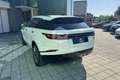 Land Rover Range Rover Velar Range Rover Velar 2.0D I4 240 CV R-Dynamic HSE Blanc - thumbnail 7