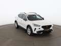 CUPRA Formentor 1.4 eHybrid PHEV 150/204 Aut LED RADAR Weiß - thumbnail 5