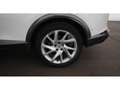 CUPRA Formentor 1.4 eHybrid PHEV 150/204 Aut LED RADAR Weiß - thumbnail 26