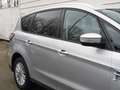 Ford S-Max 2.0 EcoBlue D *NAVI*KAMERA Argent - thumbnail 14