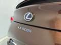 Lexus LC 500h Sport + Marrón - thumbnail 8