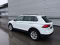 Volkswagen Tiguan 2,0 TDI SCR 4Motion Comfortline ID:79 Weiß - thumbnail 5