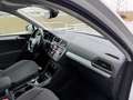 Volkswagen Tiguan 2,0 TDI SCR 4Motion Comfortline ID:79 Weiß - thumbnail 8