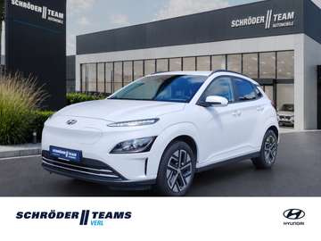 Elektro 39,2 kWh Basis
