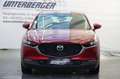Mazda CX-30 G150 Comfort + Automatik - thumbnail 4