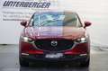 Mazda CX-30 G150 Comfort + Automatik - thumbnail 3