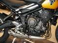 Triumph Sofort Verfügbar Geel - thumbnail 5