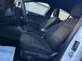 Ford Focus 1.5 EcoBlue 120 CV ST-Line Blanc - thumbnail 14